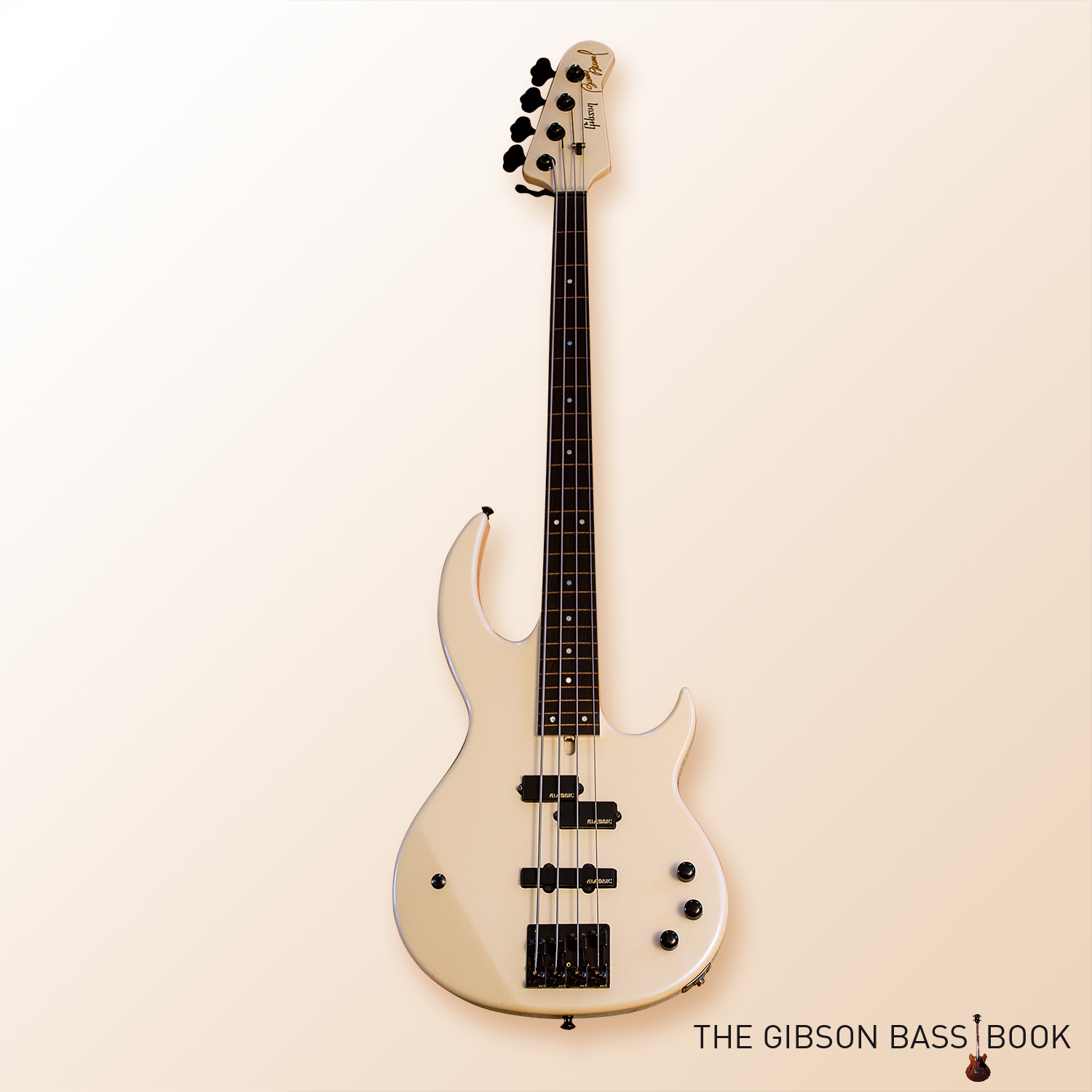 Bunny Brunel in the Gibson Bass Book