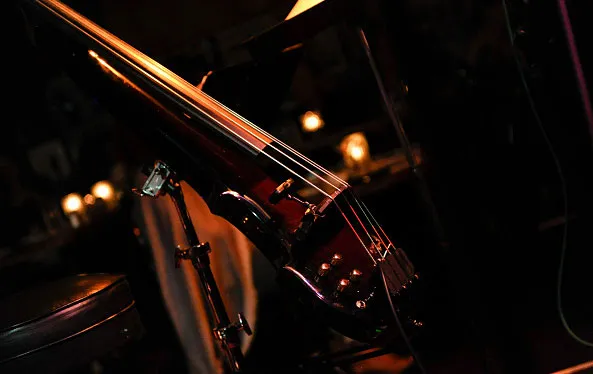 BBEUB: Bunny Brunel Electric Upright Bass